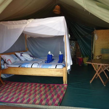 Crocodile Camp-Masai Mara Talek Exterior photo