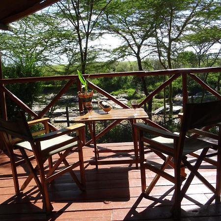 Crocodile Camp-Masai Mara Talek Exterior photo