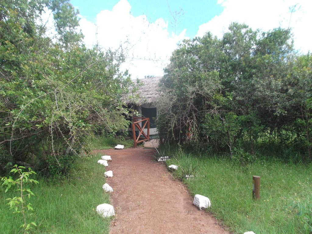 Crocodile Camp-Masai Mara Talek Exterior photo