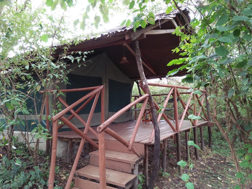 Crocodile Camp-Masai Mara Talek Exterior photo