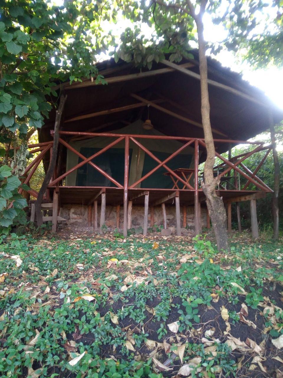 Crocodile Camp-Masai Mara Talek Exterior photo